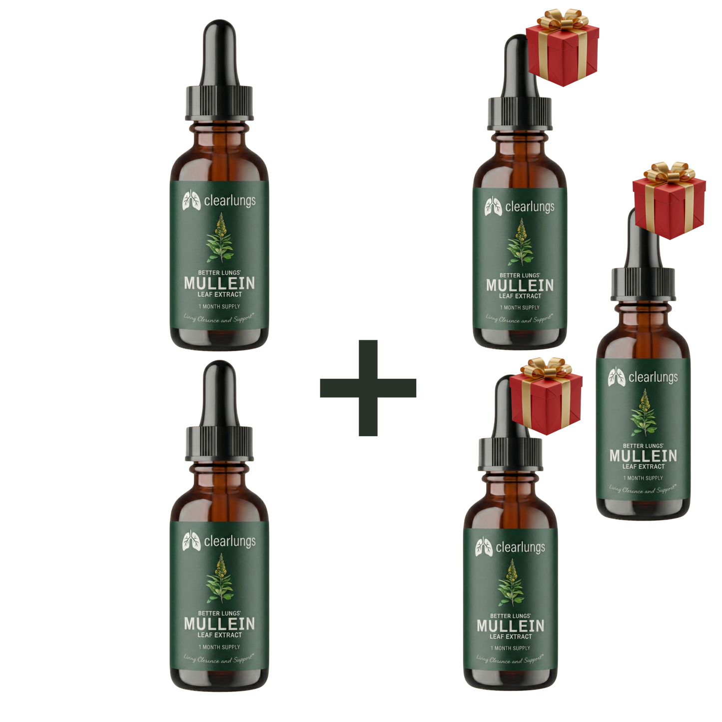 Clearlungs - פתרון מתקדם לניקוי ושיקום הריאות והנשימה