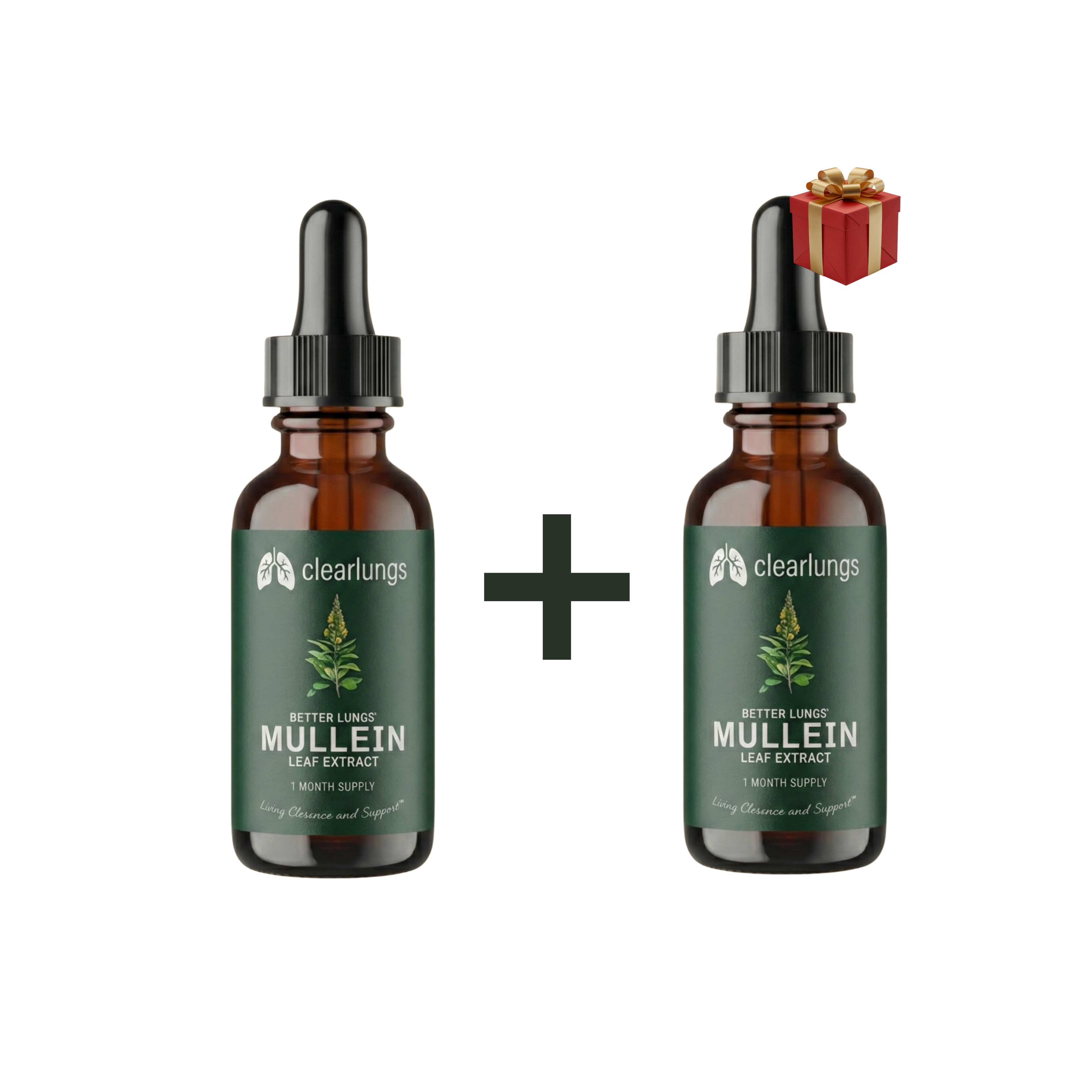 קנה 1 קבל 1 במתנה