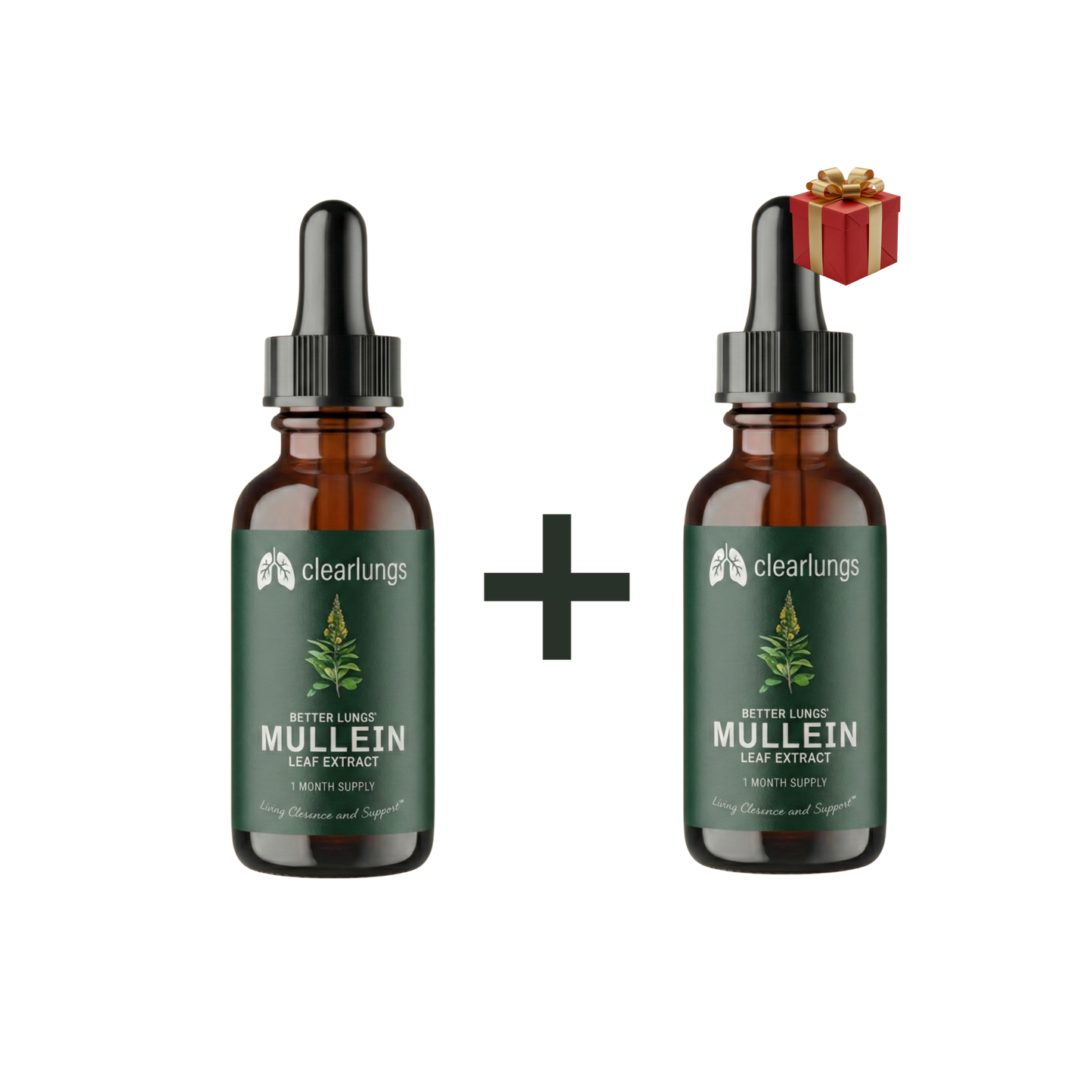 Clearlungs - פתרון מתקדם לניקוי ושיקום הריאות והנשימה