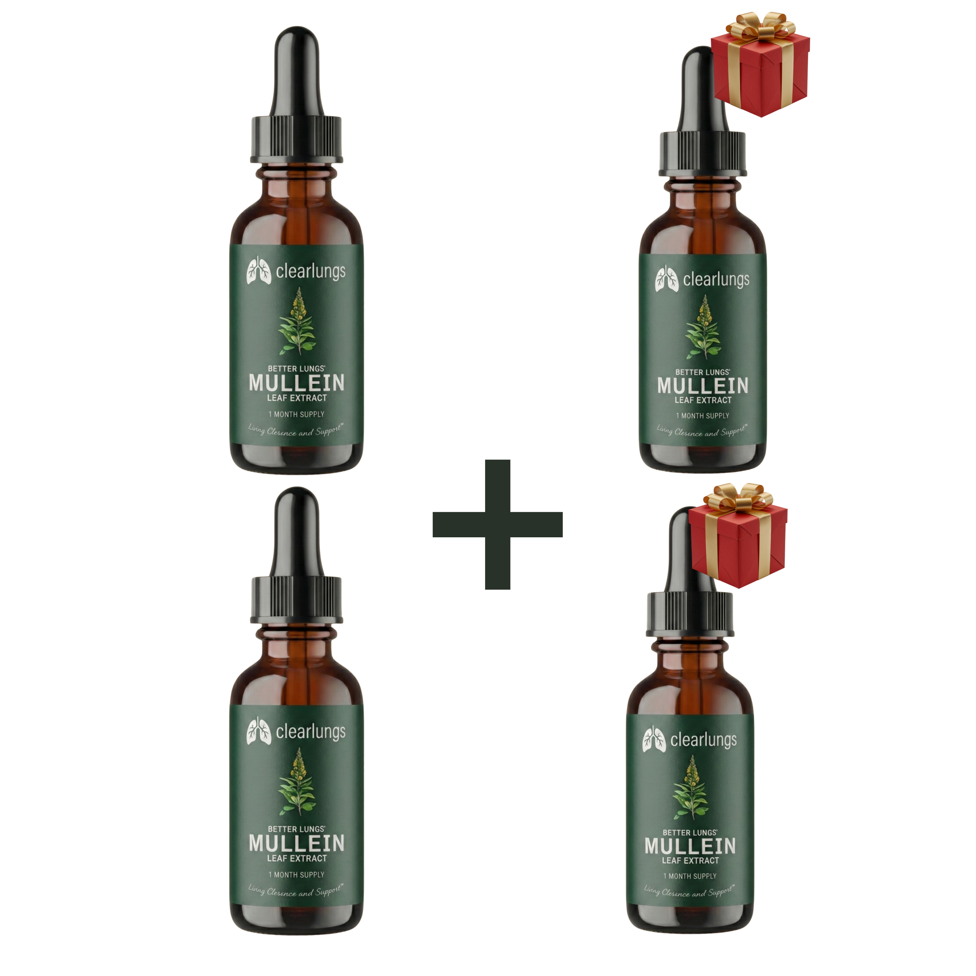 קנה 2 קבל 2 במתנה - ⭐️התוצאות הטובות ביותר