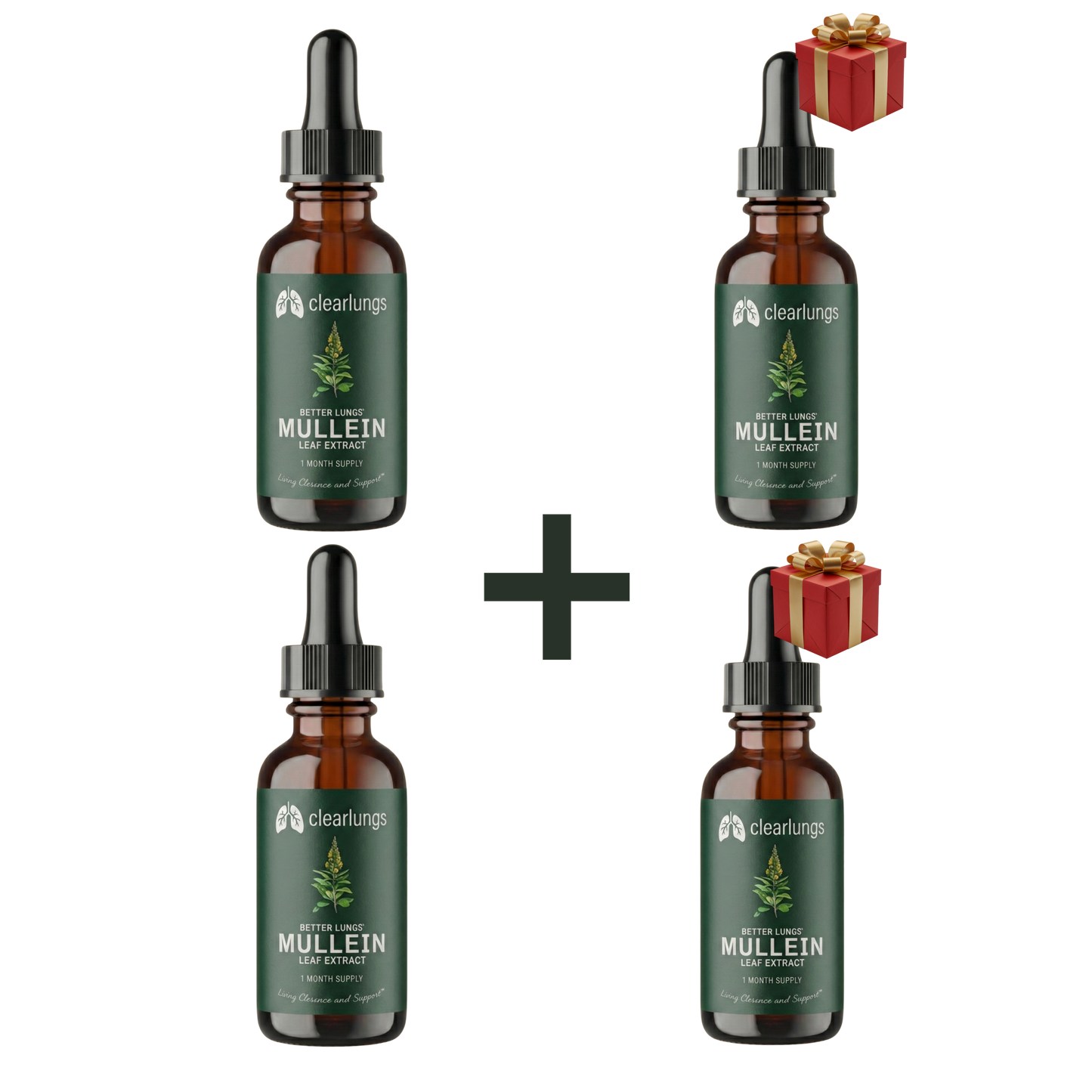 Clearlungs - פתרון מתקדם לניקוי ושיקום הריאות והנשימה