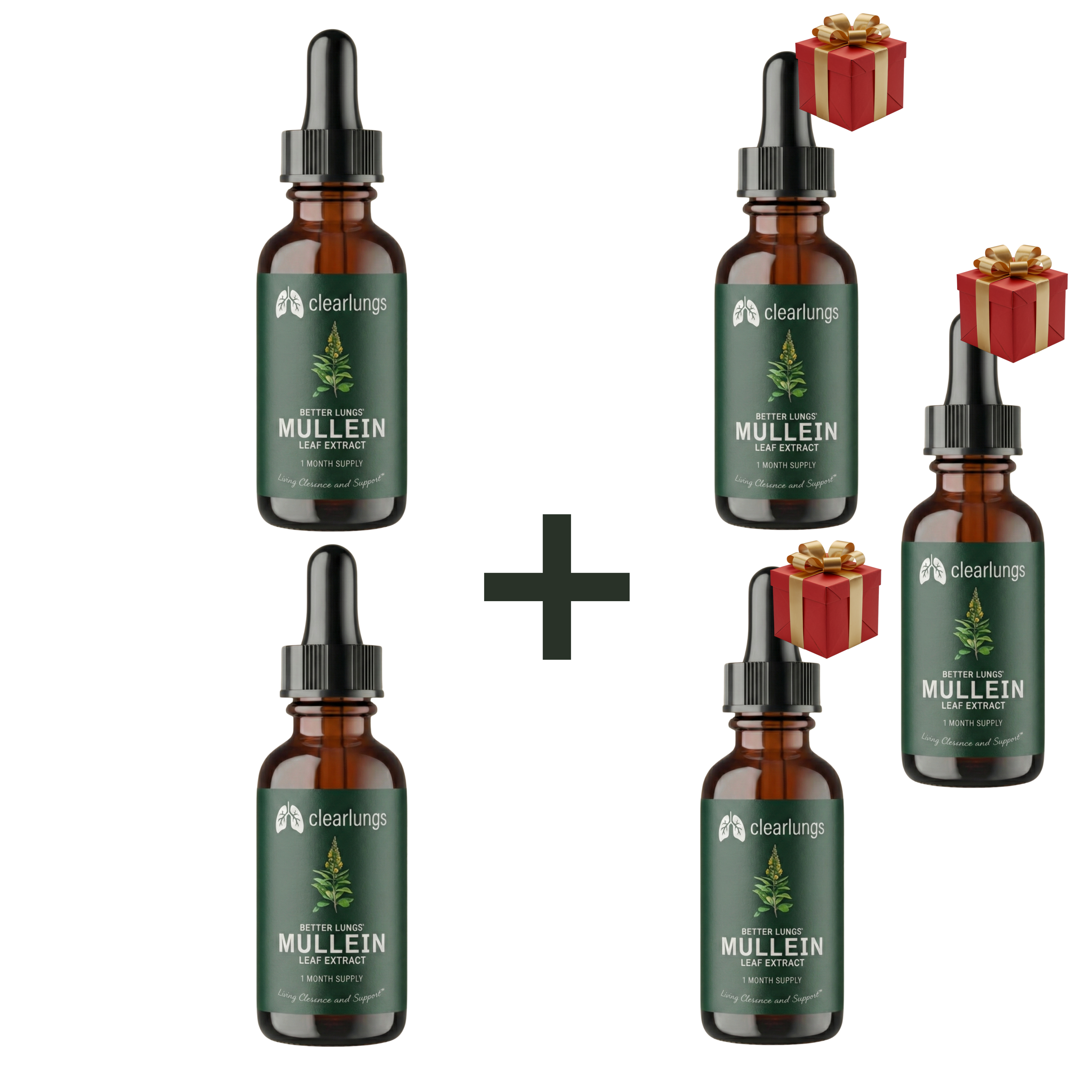 קנה 3 קבל 2 במתנה - 👑המשתלם ביותר