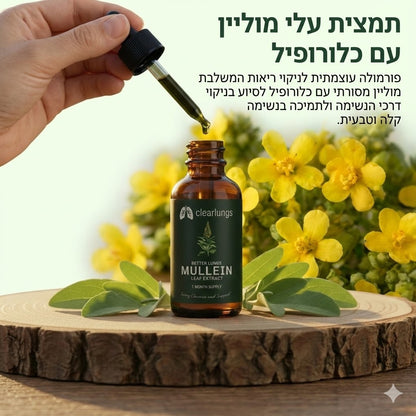 Clearlungs - פתרון מתקדם לניקוי ושיקום הריאות והנשימה