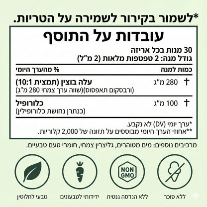 Clearlungs - פתרון מתקדם לניקוי ושיקום הריאות והנשימה